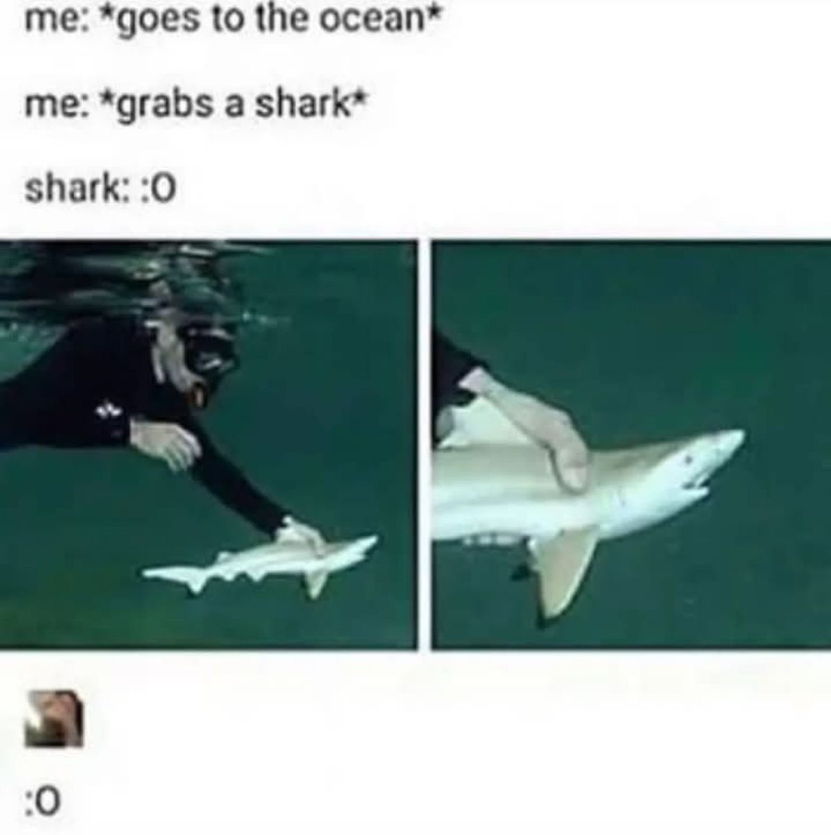 Dem! (Heckin Vampire hours) (@punksaviour) on Twitter photo 