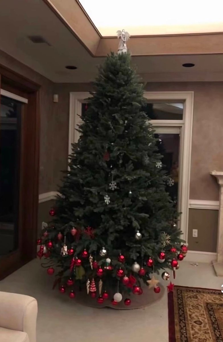 EXCLUSIVO: Noelia Pompa terminó de decorar su árbol de navidad!!!
(Nos vemos en el infierno)