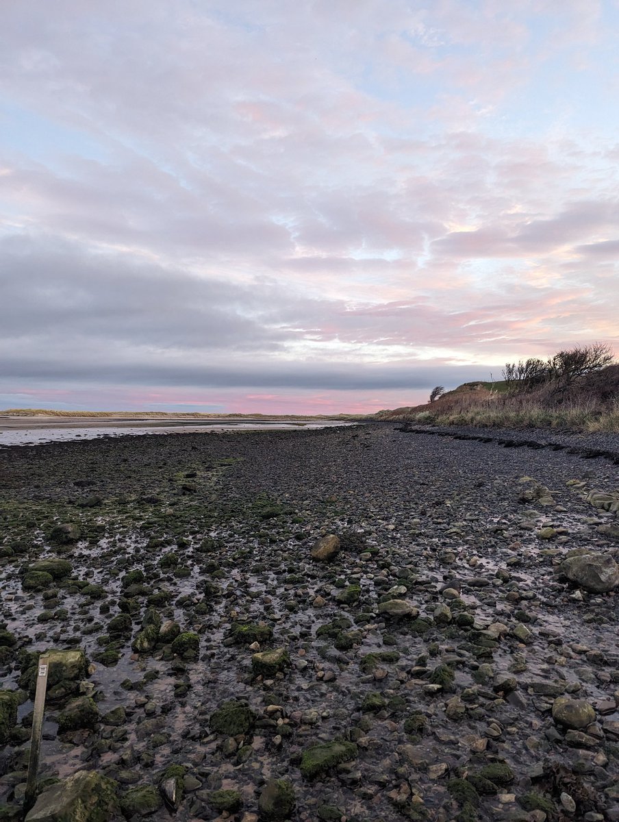 Charlotte Jennings tweet media