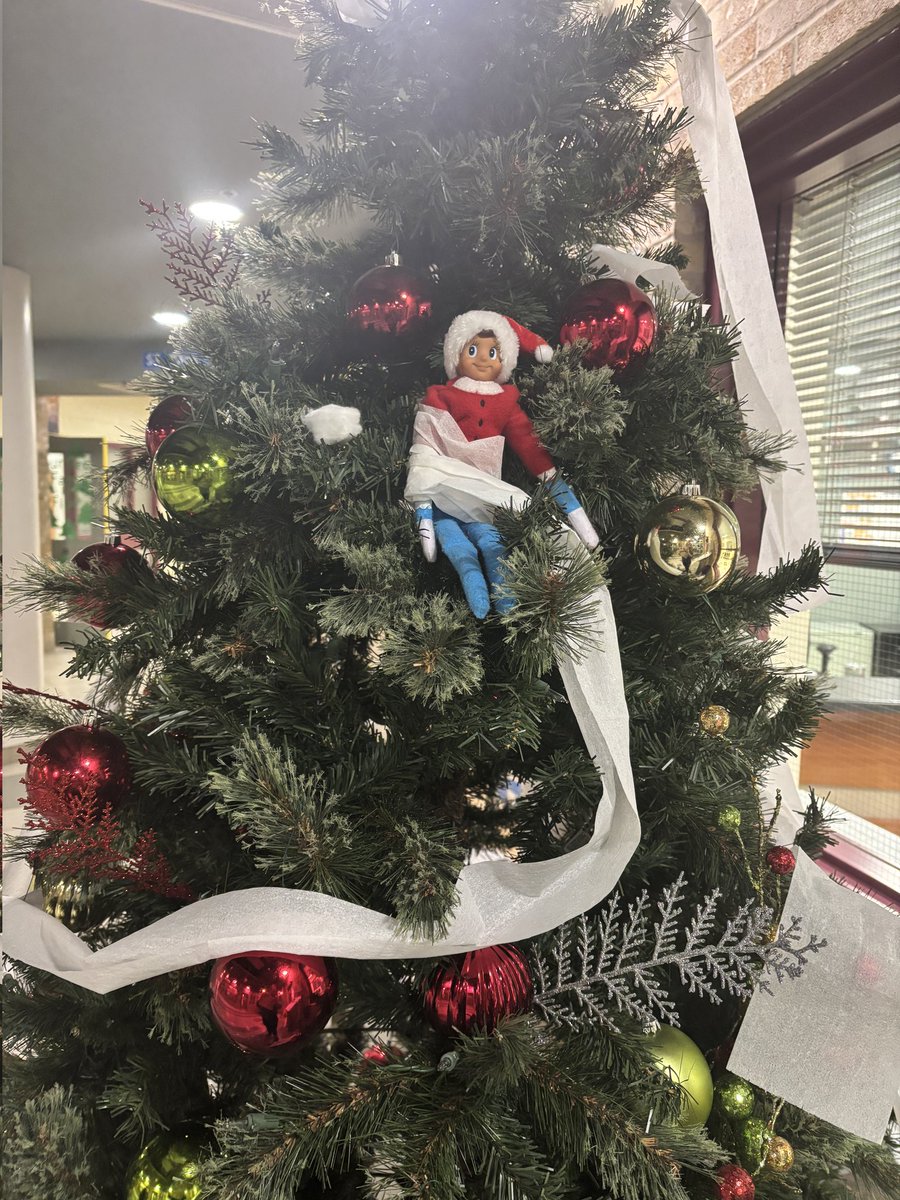 Walter was up to no good today!