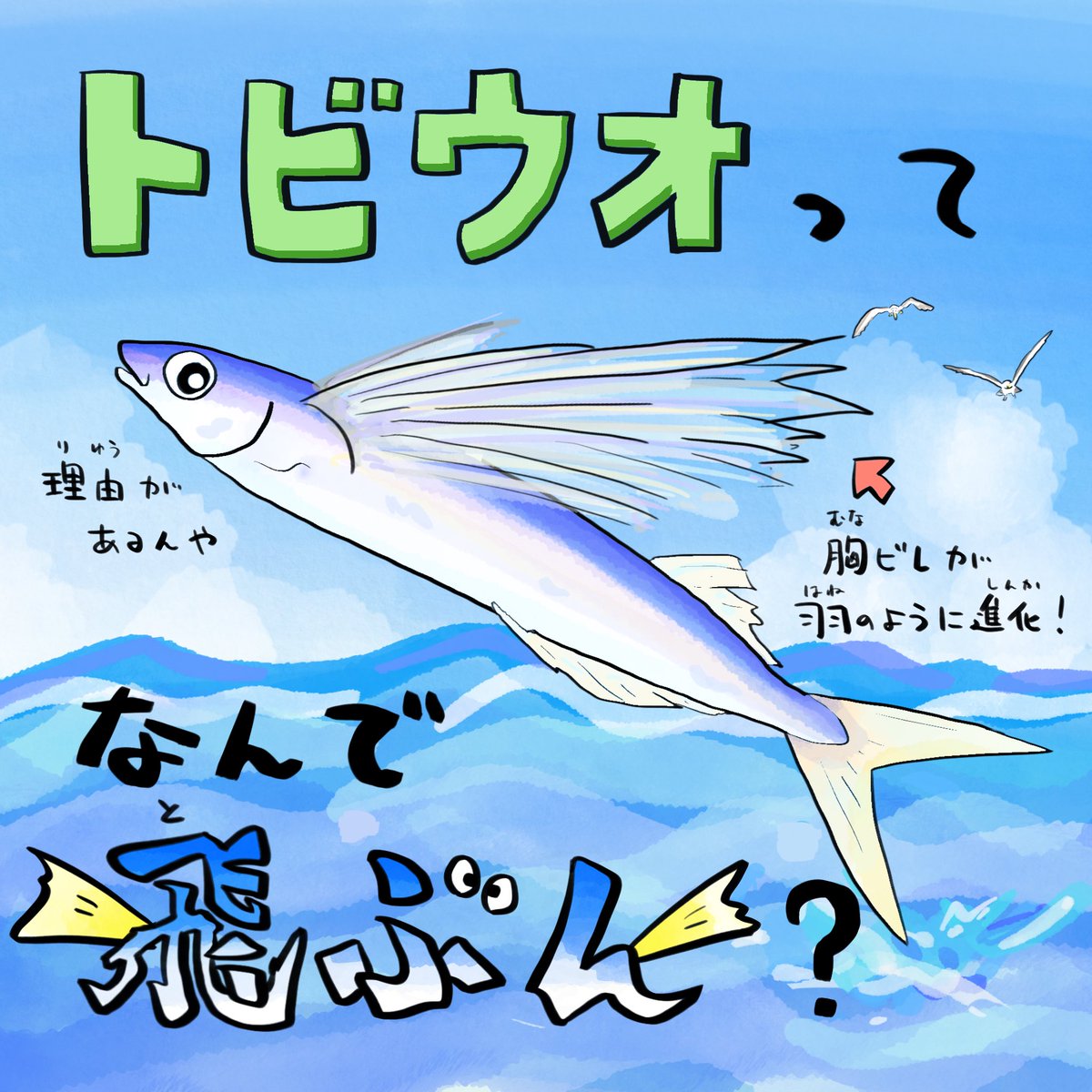飛行機の日、トビウオが何メートル飛ぶか知ってる？
