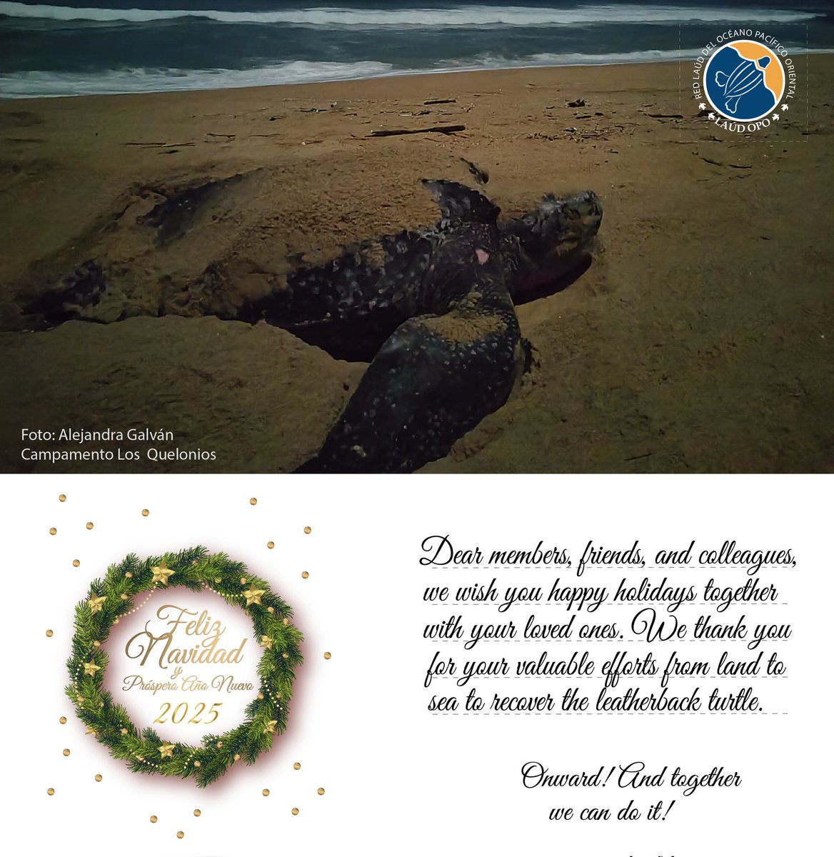 From the Laúd OPO Network, we wish you 🎊 Happy Holidays with your loved ones. 

🙌🏽 Thank you for your hard work in the conservation of the Leatherback turtle.🐢 

Onward! And together we can do it! 
. 
#RedLaúdOpo #LaúdOpoNetwork #UnidosenRed #UnidosporlaLaúd #TortugaLaúd