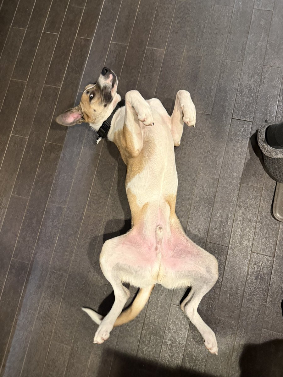 DayTraderWayne tweet media