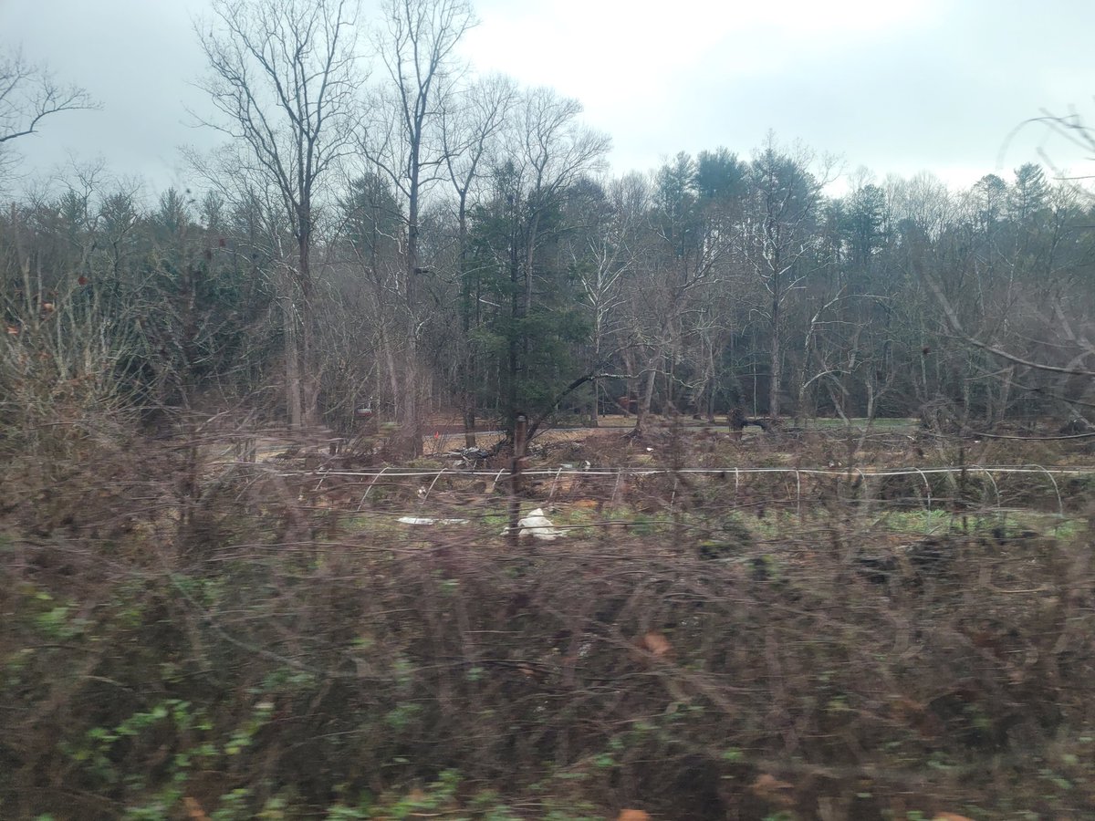 CarolinaChrisD's tweet photo. 3/4)

#NorthCarolina #HurricaneHelene
#Fairview #FairviewNC

@wendyp4545, just thought I'd tag you since I know how much you advocate for Western North Carolina. 

~cont https://t.co/MsoW4d99KB