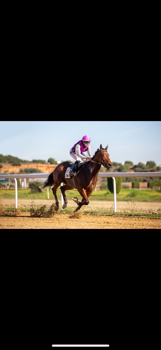 kilometro0_turf's tweet photo. Estas son las imágenes de la victoria de Almansa en el Premio Cruz Roja del pasado 6 de diciembre en @GranHipodromo2H 
Imágenes de @PepeCruz_Martin https://t.co/Ohof78WGtZ