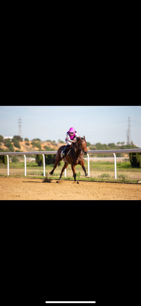 kilometro0_turf's tweet photo. Estas son las imágenes de la victoria de Almansa en el Premio Cruz Roja del pasado 6 de diciembre en @GranHipodromo2H 
Imágenes de @PepeCruz_Martin https://t.co/Ohof78WGtZ
