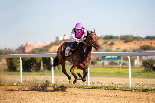 kilometro0_turf's tweet photo. Estas son las imágenes de la victoria de Almansa en el Premio Cruz Roja del pasado 6 de diciembre en @GranHipodromo2H 
Imágenes de @PepeCruz_Martin https://t.co/Ohof78WGtZ
