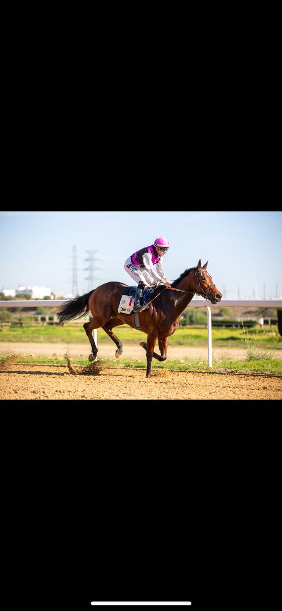kilometro0_turf's tweet photo. Estas son las imágenes de la victoria de Almansa en el Premio Cruz Roja del pasado 6 de diciembre en @GranHipodromo2H 
Imágenes de @PepeCruz_Martin https://t.co/Ohof78WGtZ