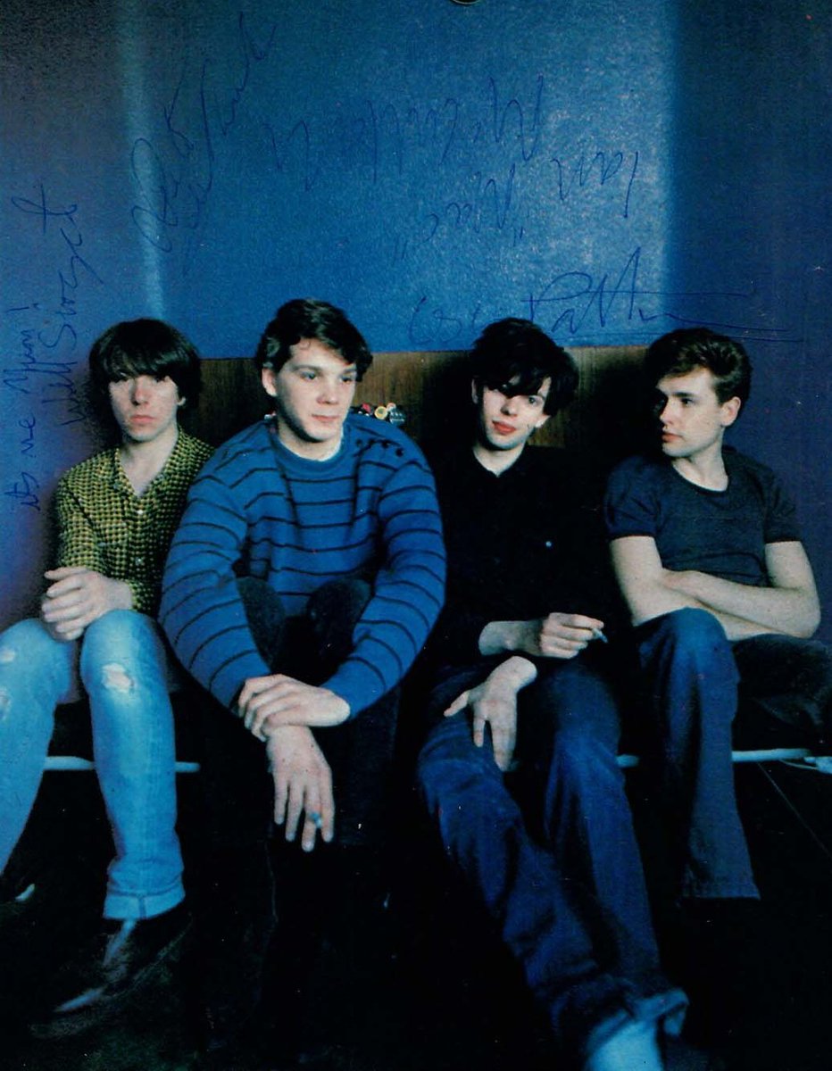 Bunnymen Daily tweet media