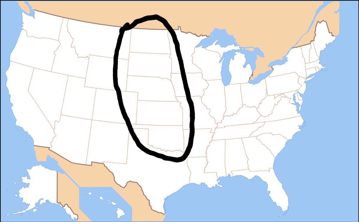 Anchovy Pizza 🇺🇸 tweet media