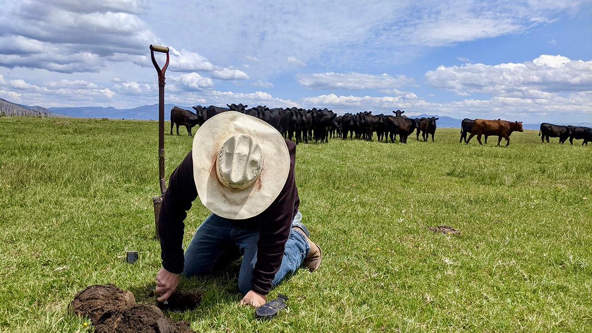 UC Rangelands (@ucrangelands) on Twitter photo As California faces more unpredictable weather, ranchers are discovering that planning ahead and adapting to extreme conditions isn't just helpfulโit's essential for survival and long-term success.
Read more about how UCCE is supporting communities.โฌ๏ธ
plantsciences.ucdavis.edu/news/woodmanseโฆ As California faces more unpredictable weather, ranchers are discovering that planning ahead and adapting to extreme conditions isn't just helpfulโit's essential for survival and long-term success.
Read more about how UCCE is supporting communities.โฌ๏ธ
plantsciences.ucdavis.edu/news/woodmanseโฆ