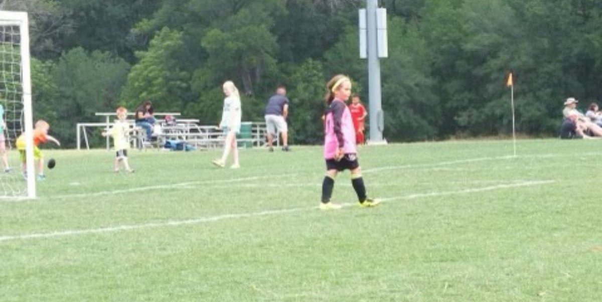 Kaitlyn Gustafson tweet media