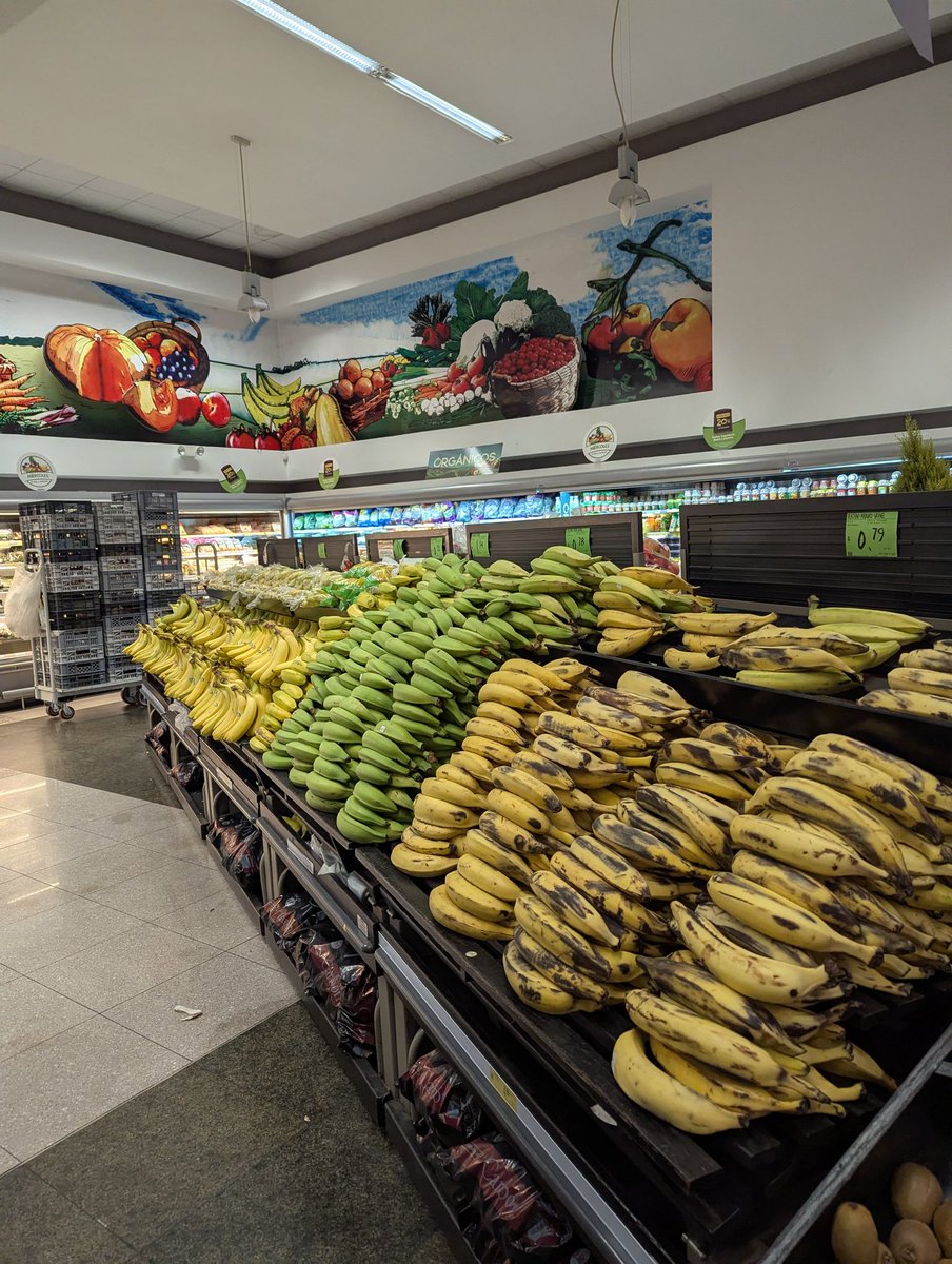 The European mind would never understand