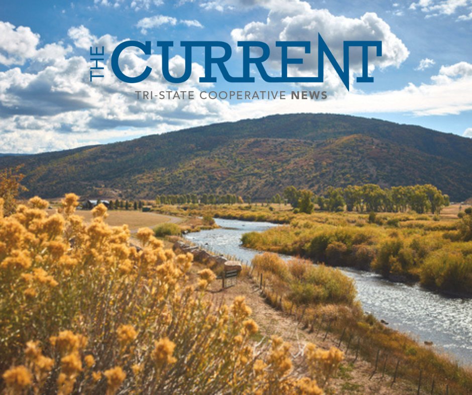 The Current | December 2024: bit.ly/3VIF43h

↩️ We're returning $10 million in patronage capital to members for 2024
☀️ Escalante Solar wins major award
💡 Six Tri-State members help bring power to Navajo Nation
⭐ Advice from Women in Public Power panel