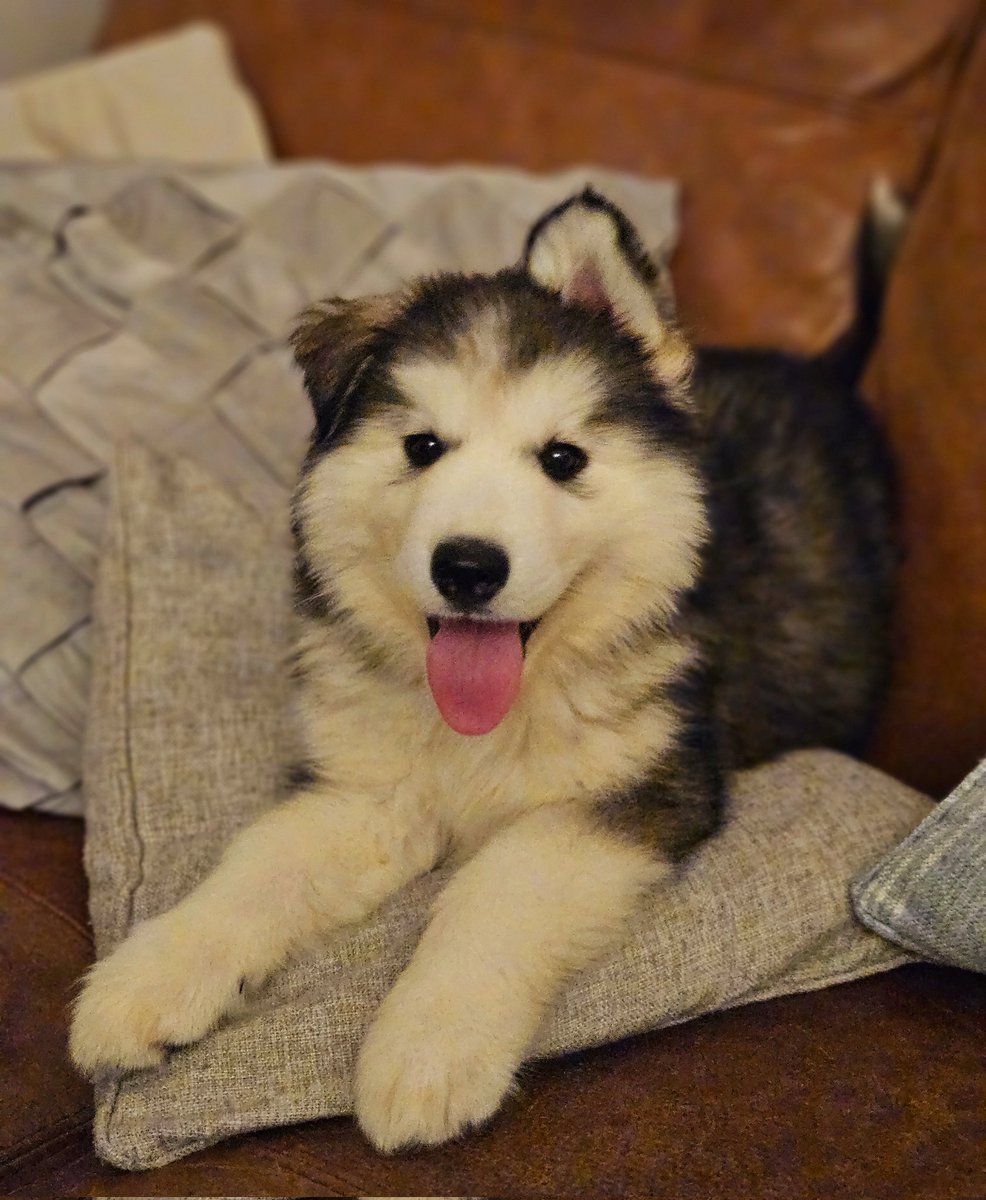 Guys, say hi to Doug, he's new here