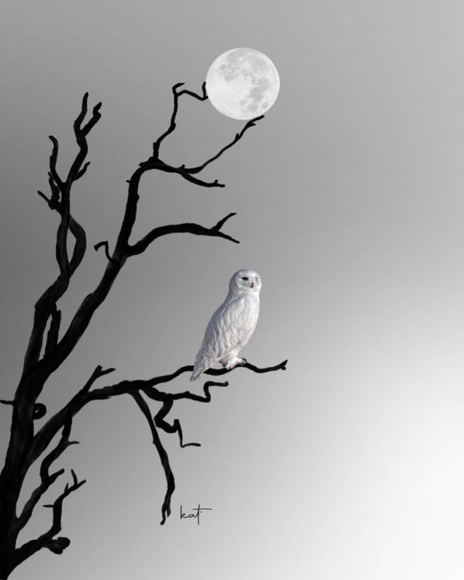 "Dear friend, 
Always write to me. You don't have to wait for an answer... We are people who need to talk to each other."

A. Hamdi Tanpinar

🔷 A friend is someone you need to have a conversation with.