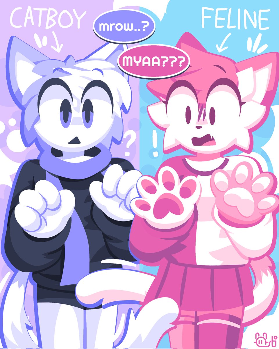 DAY 352 - Cat swap