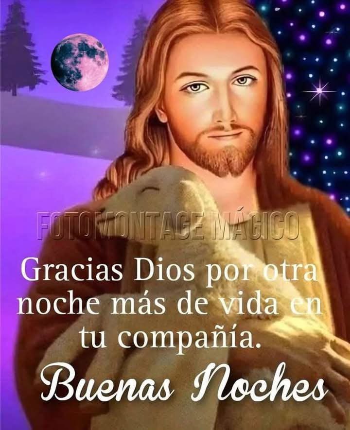 Dios Nuestro Señor gracias por otra noche más de vida en tu compañía 🙏 Buenas noches