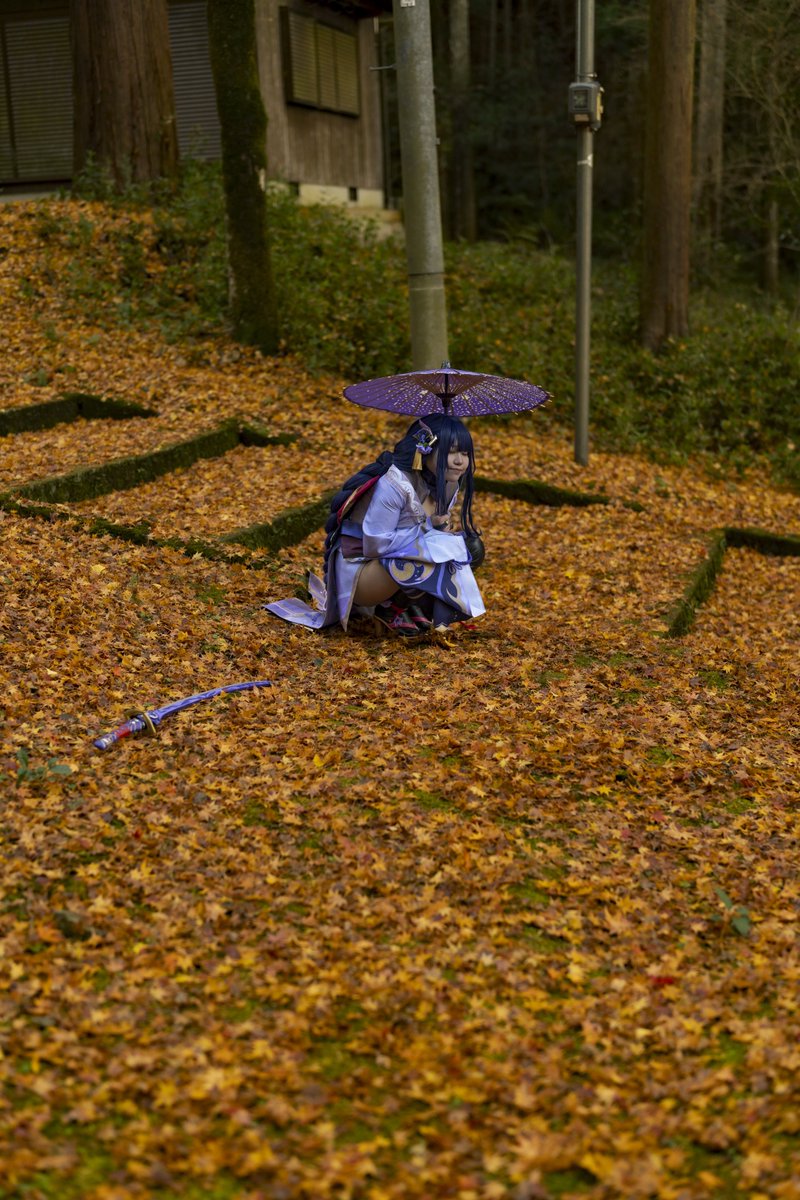 千炉🐾 tweet media