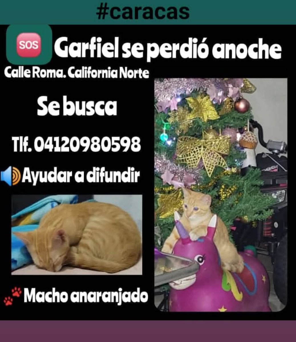 Se busca La California Norte Caracas