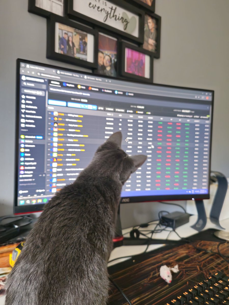 CryptoKatsCK's tweet photo. 🐾 MEOW! THE KATS ARE OUT OF THE BAG! 🐾
Attention, degens and hodlers! The CryptoKats contract is soon to be released and these cats are ready to claw their way to the top of the memecoin food chain!
Utility: None (except endless laughter and potential moon missions).
#memecoin https://t.co/2tI4ObY8z4