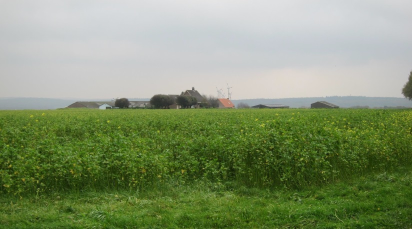 HeNRGi's tweet photo. Lekker gephotoshopt, @OmroepGLD? Links jullie 'visualisatie' van Windpark Kranenburg (vanaf ~2km https://t.co/ubhKkPxLkX), rechts de visualisaties van Fotopunkt ABO8 (~1km) en BI4 (~3km), afkomstig uit https://t.co/f63W4ra6dt. @RikHJHarmsen kom er maar in... https://t.co/Ccvt4d6V3J