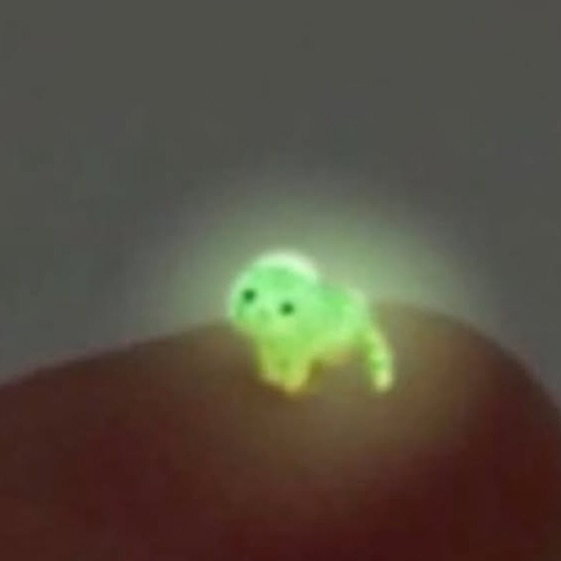 Punch Cat tweet media