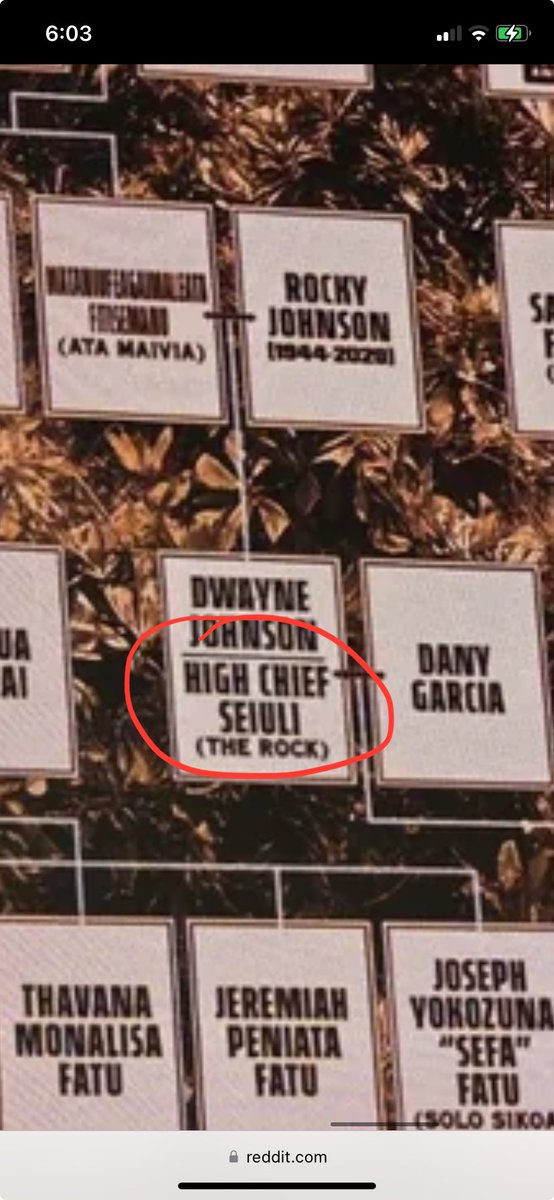 MLCLeague's tweet photo. @notsam I heard your theory about Rock/Roman. 

I don’t imagine he’s on the bloodline family tree as High Chief Seiuli for kicks.

Everything counts! https://t.co/YhBcyskB9U