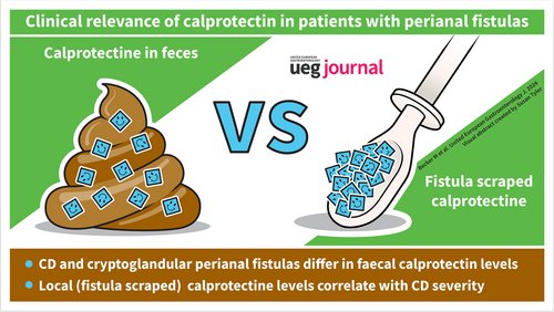 Sara Nikolić tweet media