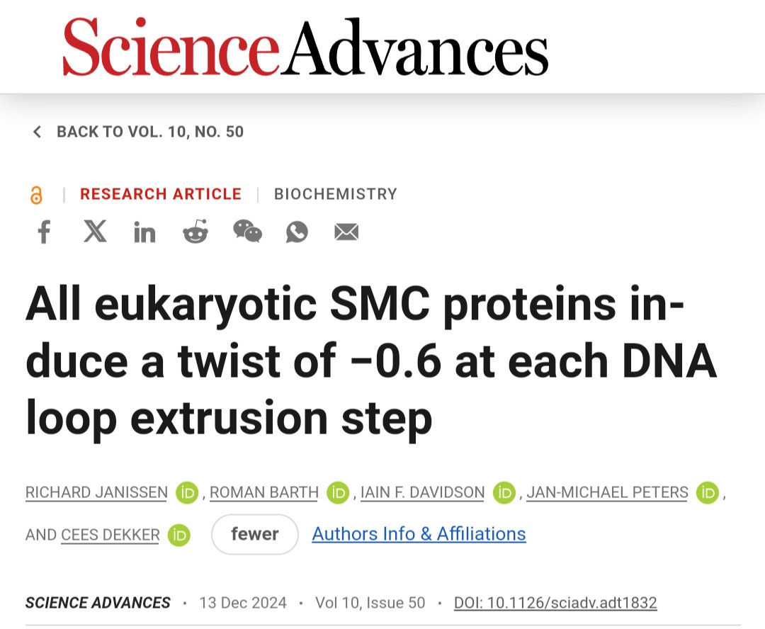We have been trying to figure out the mechanistic mysteries about SMC motor proteins. They extrude our genome constantly into loops. We know that that's important. But how it works, is a matter of intense debate! Today, we report a piece of the puzzle: