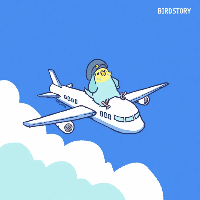 おはようございます。本日は12月17日、1903年のこの日、ライト兄弟が動力飛行機の初飛行に成功したことから、飛行機の日とのことです#BIRDSTORY #飛行機の日 #飛行機 #セキセイインコ 