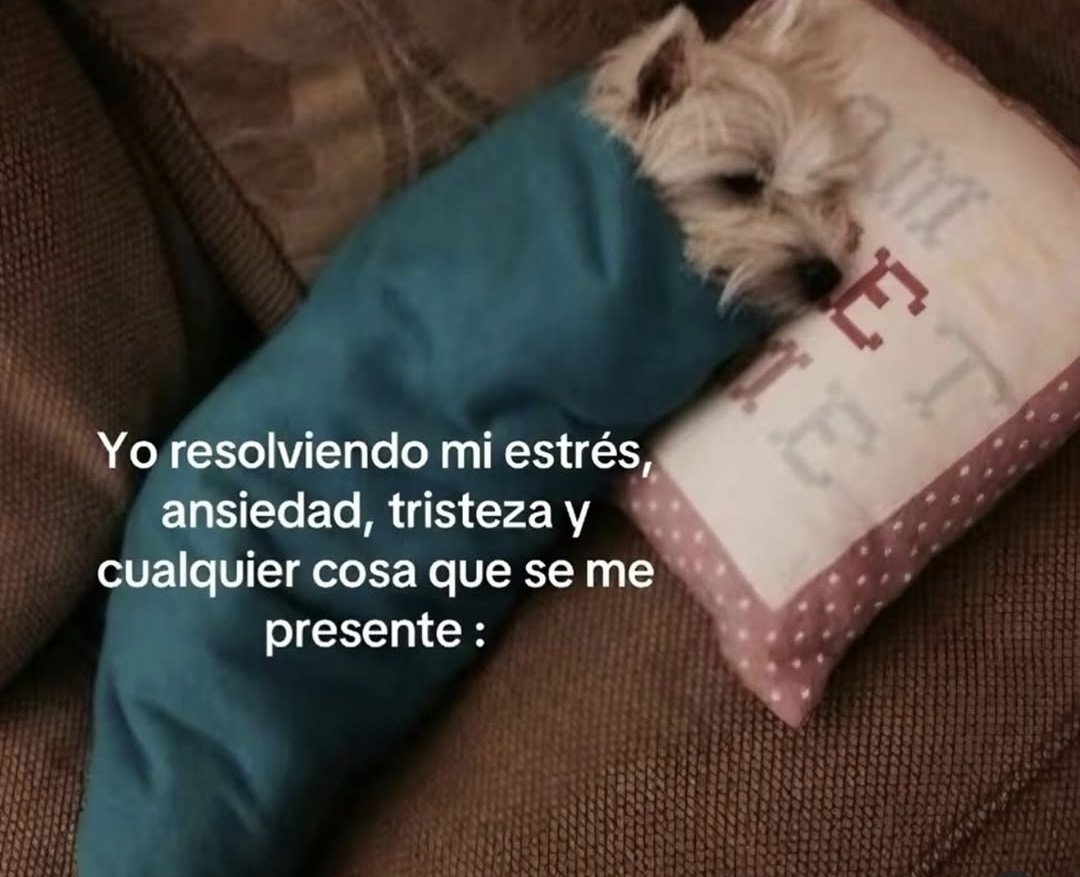 En_jupiter_'s tweet image. 