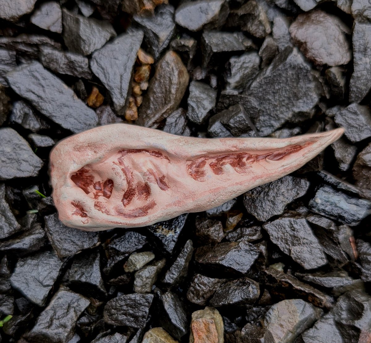 TheLadyGoatess's tweet photo. Elder Scrolls Ornaments Day 16: Falmer Ear

#TESOonline #ESOFam #ElderScrollsOnline https://t.co/OZtAgDsTwM
