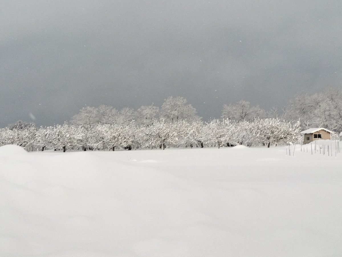 kerokey's tweet photo. 雪… https://t.co/OFHrQ0jvzK