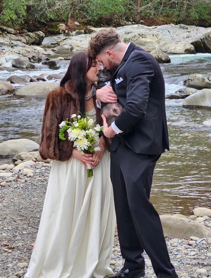 (W)adgePlug🔌 tweet media