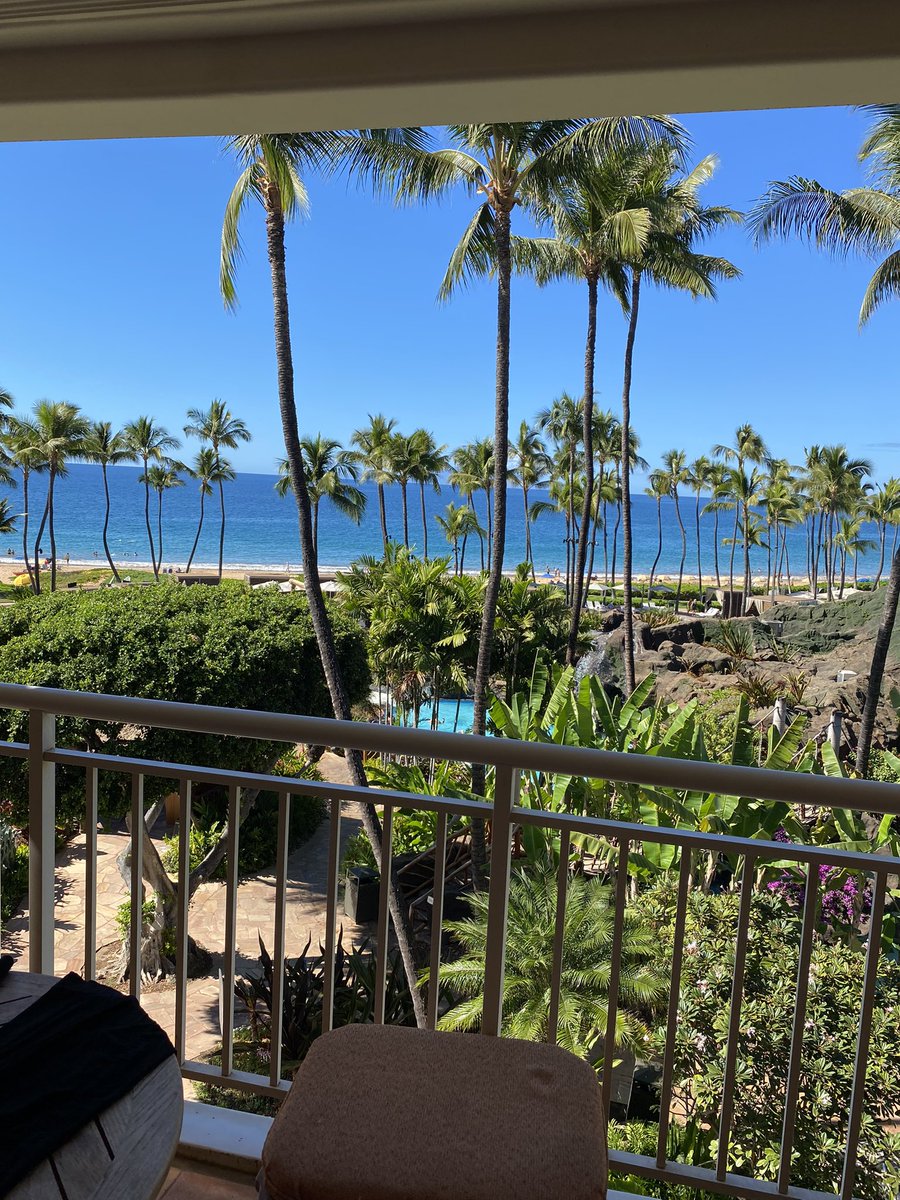 (W)adgePlug🔌 tweet media