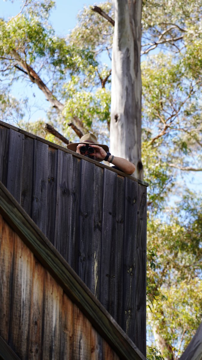 Tas_Land's tweet photo. At the end of Nov we held the 3rd #BrunyIsland Bird Adventure in collaboration with the team at Inala Nature Tours. It was a fantastic to see so many members of #LandforWildlife, #GardensforWildlife and #Wildtracker come south for a day spotting #fortyspottedpardalotes, meet the TLC team and one another, growing a #community of conservation-minded folk.