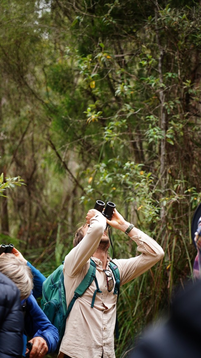 Tas_Land's tweet photo. At the end of Nov we held the 3rd #BrunyIsland Bird Adventure in collaboration with the team at Inala Nature Tours. It was a fantastic to see so many members of #LandforWildlife, #GardensforWildlife and #Wildtracker come south for a day spotting #fortyspottedpardalotes, meet the TLC team and one another, growing a #community of conservation-minded folk.