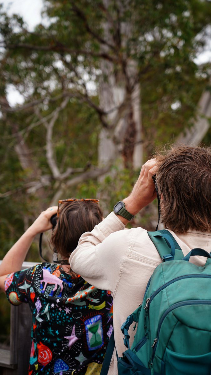 Tas_Land's tweet photo. At the end of Nov we held the 3rd #BrunyIsland Bird Adventure in collaboration with the team at Inala Nature Tours. It was a fantastic to see so many members of #LandforWildlife, #GardensforWildlife and #Wildtracker come south for a day spotting #fortyspottedpardalotes, meet the TLC team and one another, growing a #community of conservation-minded folk.