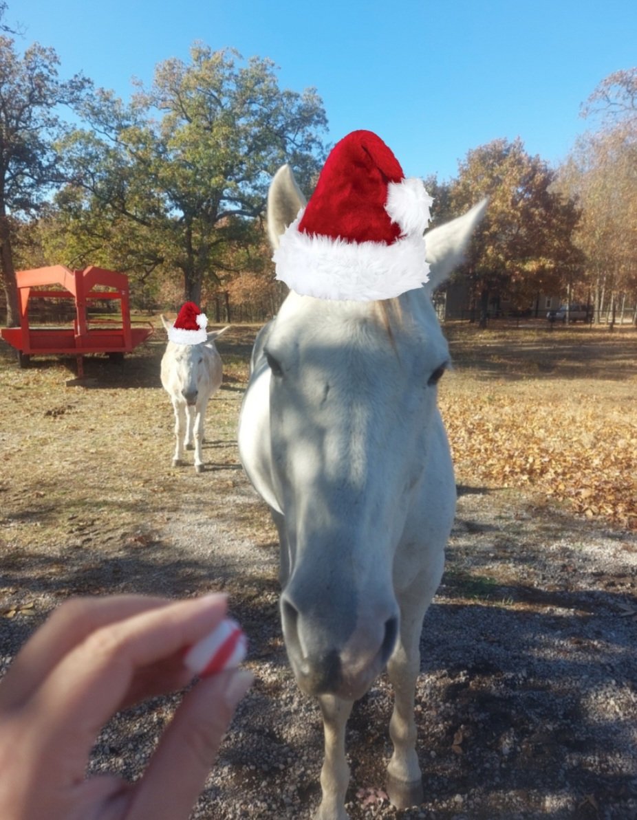 Mom has begged us to stop playing matchmaker. 
She said her ❤️ can't take much more. 
She also said she will give us peppermints if we stop. 
We definitely dont want to cause her any more pain. Also, we do love our peppermints, so...
We hope you have a very Merry Christmas!! 🎄