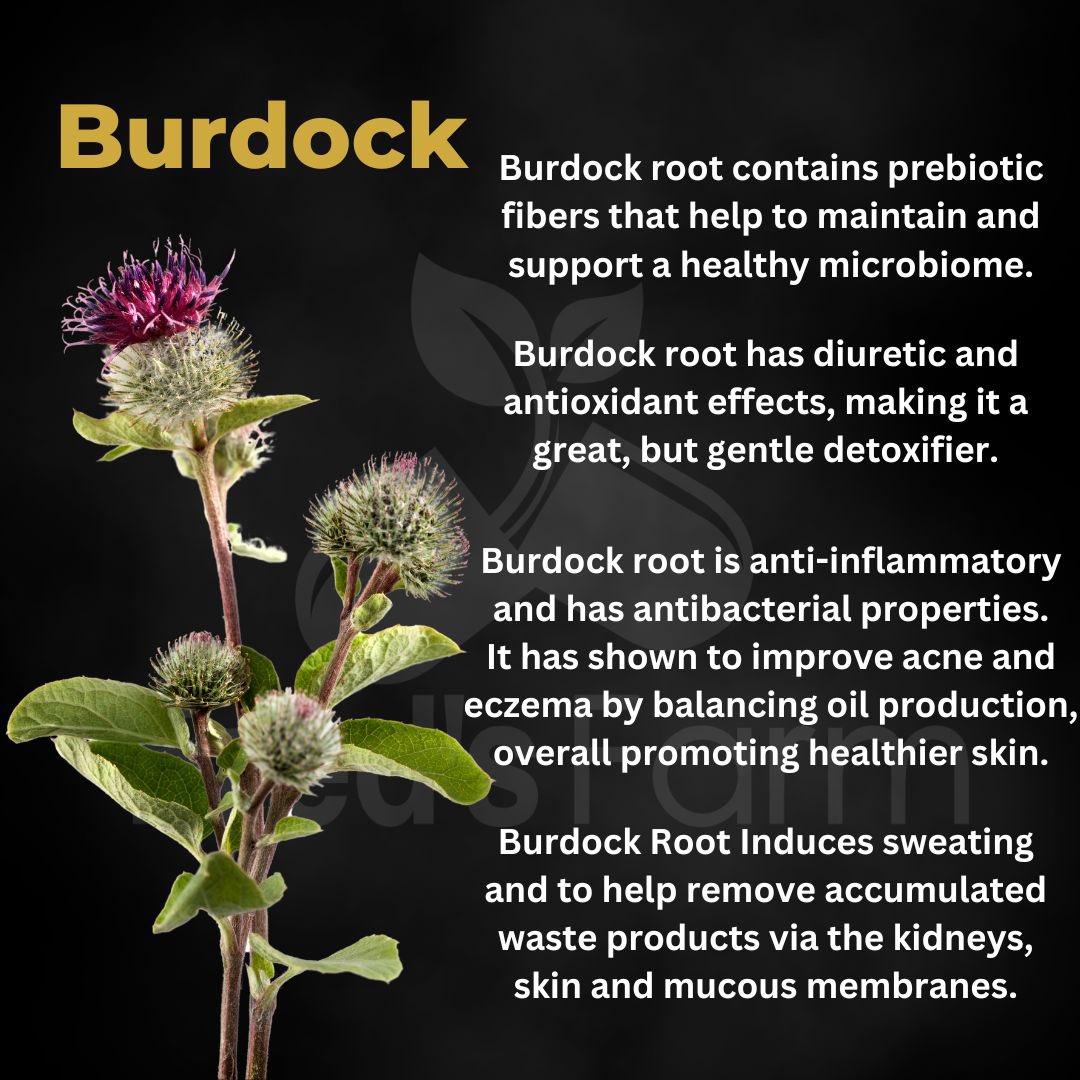 Fred’s Farm | Herbal Wellness 🌿 tweet media