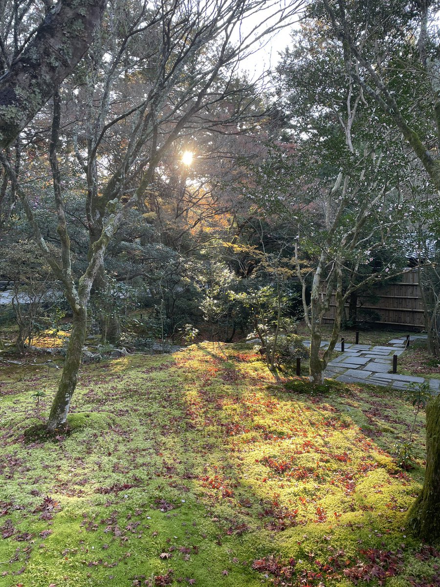 saihojimuin's tweet photo. 10日後。すっかり冬でございます。 https://t.co/BgUgBL8Ede