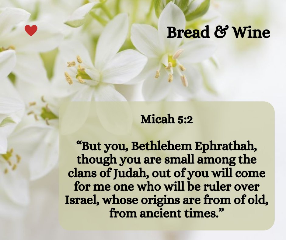 QueenQQ25's tweet photo. #Thank_God_for_a_New_Day🤗
#Blessed_Beautiful_Day🌸
🌞🌝🌬️❄️ #BT📖 #TWTTL🙌
https://t.co/YP68akjcmf
#Anseio❣️ Bruno G. &amp; Thamires G. 
#Love❤️💙#Peace https://t.co/Hg0hcB7oZo