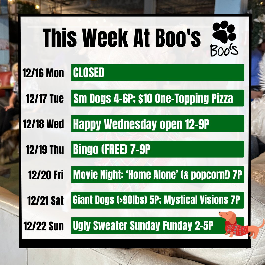 BoosIcehouse's tweet photo. 🐾 Boo's calendar for the week of Dec 16

12/20 Fri: Movie 'Home Alone' 7P 
12/21 Sat: Giant Dogs Meet Up 5P; Mystical Vision 7-10P
🎄 12/22 Sun: Ugly Sweater Sunday Funday 2-5P

#boosdogbar
#uglysweaterparty #dogparty #sarasota  #thingstodosrq #dogbar #decemberinflorida https://t.co/pxv6beyR3I
