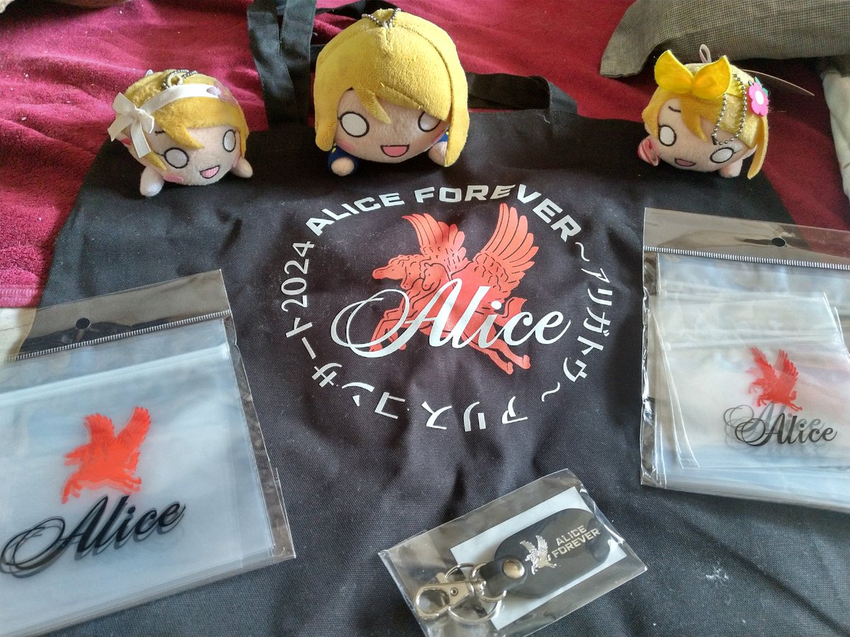 momonja_cos's tweet photo. おはようございます。
#AliceForever のグッズが届きました。ライブに参加していなくてもネット通販で遠隔地から手に入れられるのだからいい時代になったものです。
#アリス
#火曜日かよちゃん 
#ぬい撮り https://t.co/DjAJ95qAuY