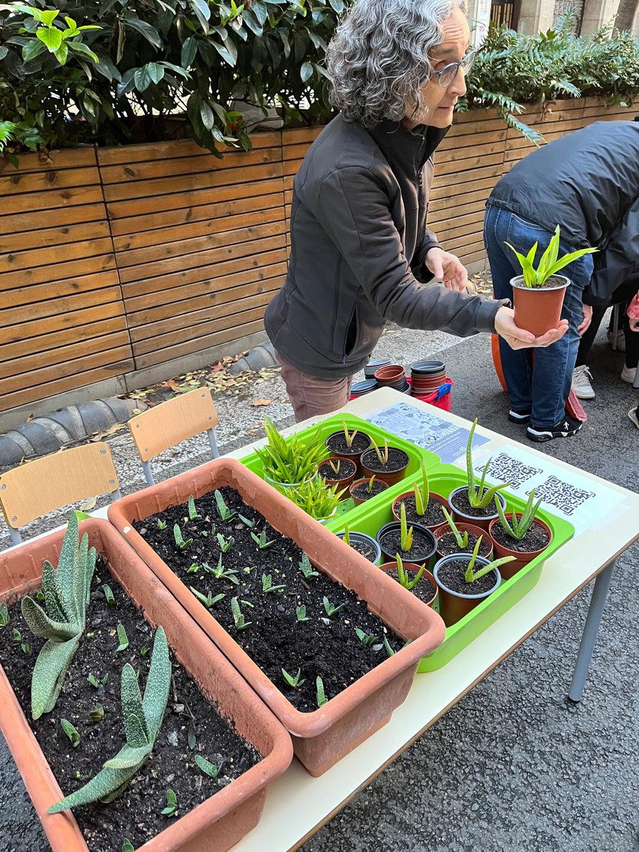 AMPADiputacio's tweet photo. Divendres 13 vam tallar el carrer davant l'escola sumant-nos de nou a la @RevoltaEscolar 
Pocket hoquei, pintacares, repartiment de planter i la xerrada dels urbanistes i assessors de mobilitat José Besselink i Marijn Kik, de R'dam i Utrecht (segueix) https://t.co/ZYf9I35wgN