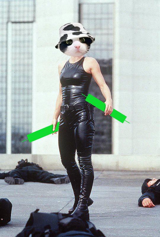 $MooCat will defeat all fud and jeets, always.