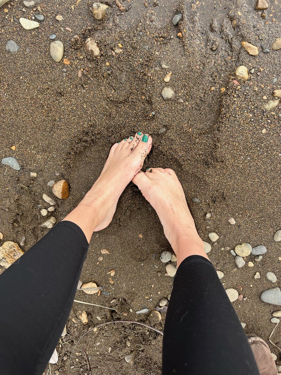 barefootnomad_'s tweet photo. Riverbank or beach? https://t.co/LQzbb6s8aG