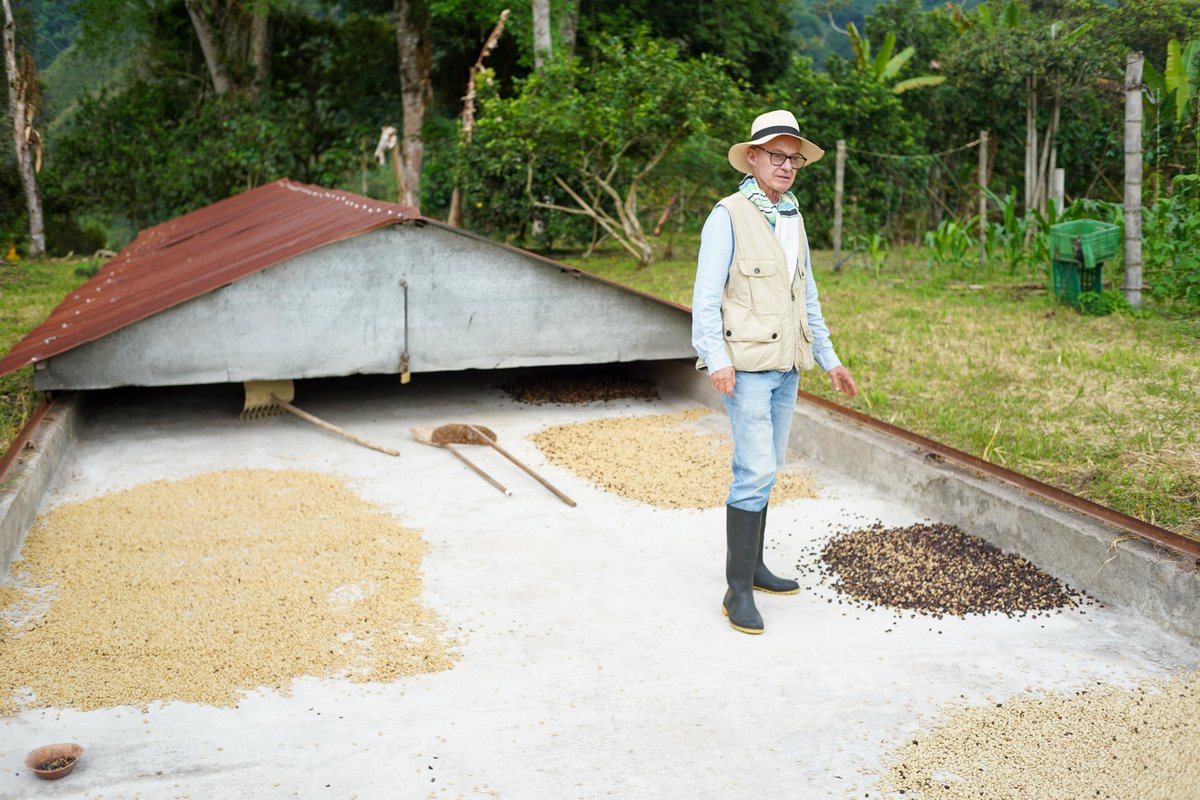 コーヒー豆の生産地として有名なコロンビア・サレントにあるオーガニックコーヒー農園『Finca el Recuerdo』に行ってきました☕🌿

コーヒー農園はコロンビアに5,000以上ありますが、オーガニックコーヒー農園は30しかないそうです。

化学肥料や農薬を使わず、原生林のトロピカルジャングルと