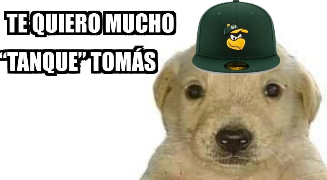 Capi LM (@capilm) on Twitter photo 